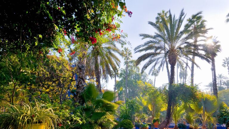Majorelle Garden and YSL Museum