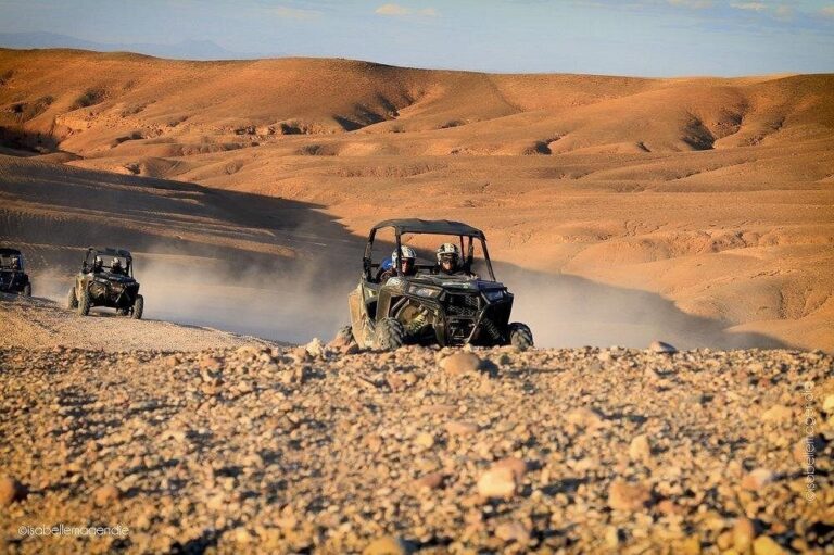 Quad, Buggy and Camel Rides